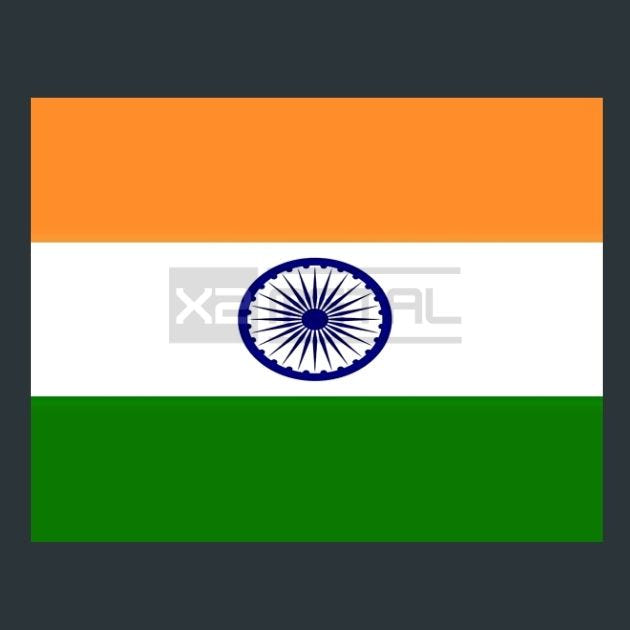 Flag 16 India Metal Wall Art and Desktop Mouse Pad by X2Metal