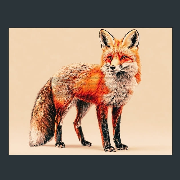 Scottish-Wildlife-20-metal-prints-posters-mouse-pads