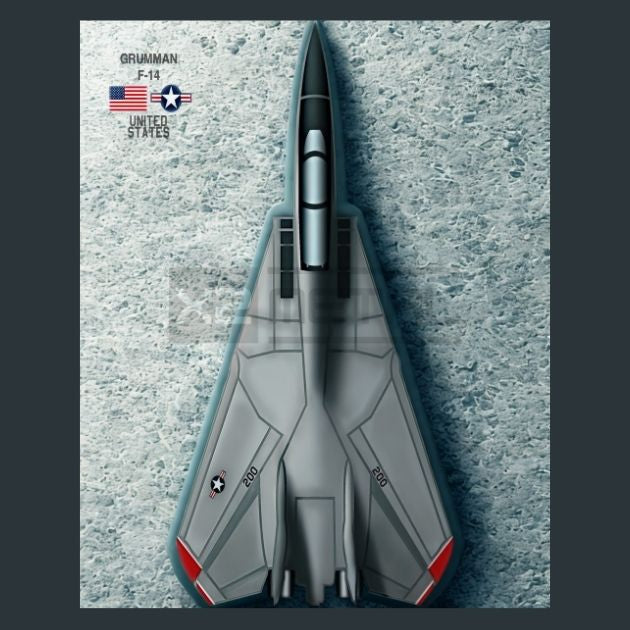US-F-14-Jet-Metal-Prints